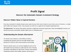 Unlocking the Profit Potential of Expired Domains